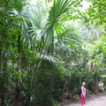 P1000240.JPG